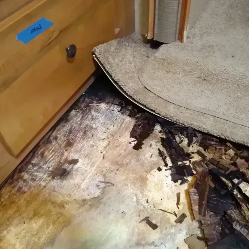 Wood Floor Water Damage in South Barrington, IL